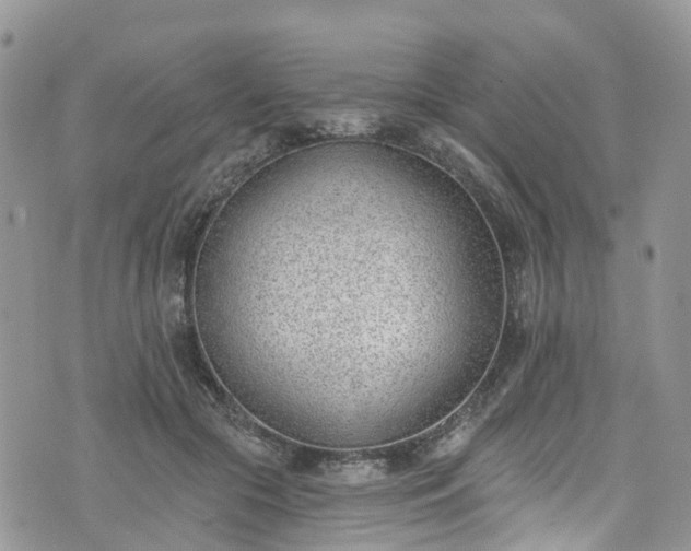 X0000076400553200610161208