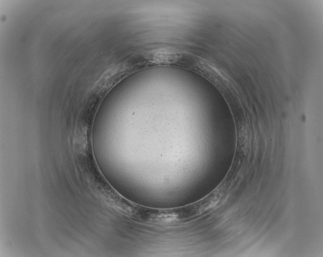 X0000076400554200610161208