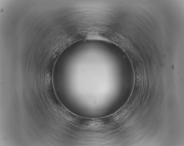 X0000076400555200610161208