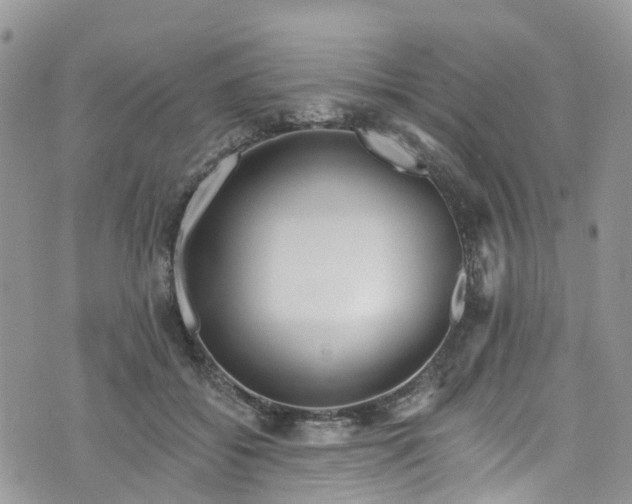 X0000076400556200610161208