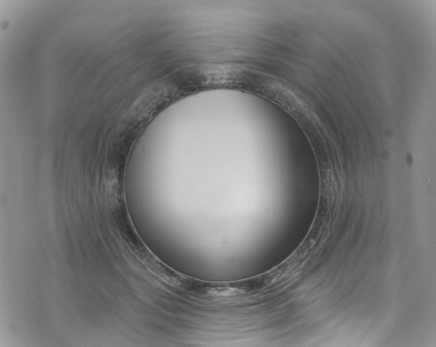 X0000076400557200610161208