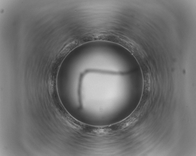 X0000076400558200610161208