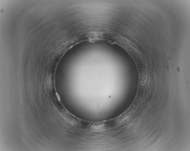 X0000076400560200610161208