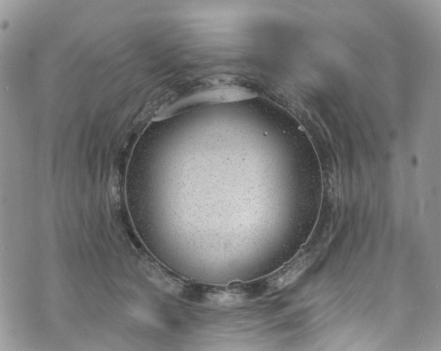 X0000076400561200610161208