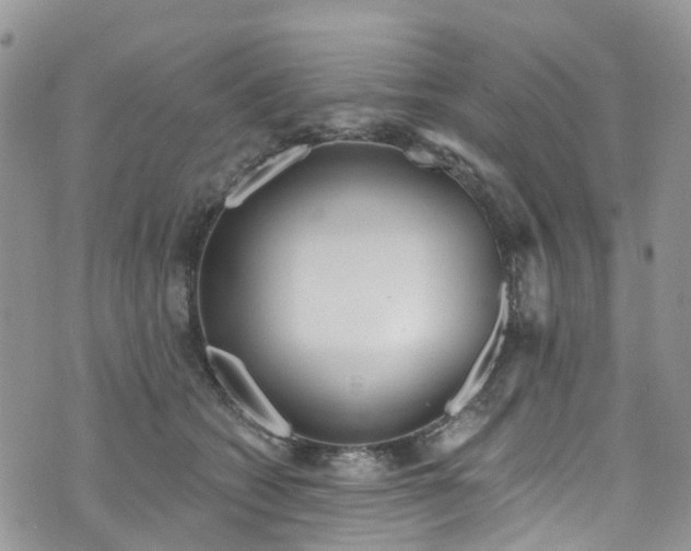 X0000076400562200610161208