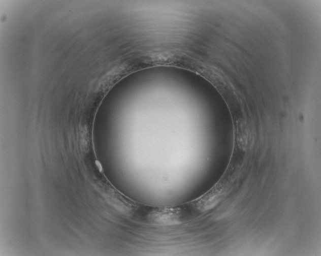 X0000076400563200610161208