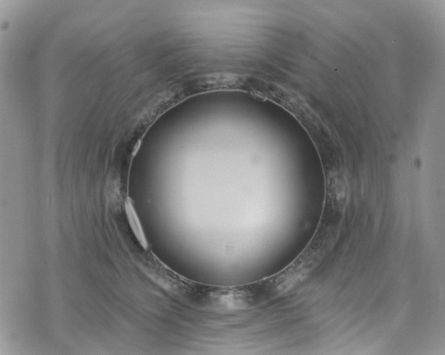 X0000076400564200610161208