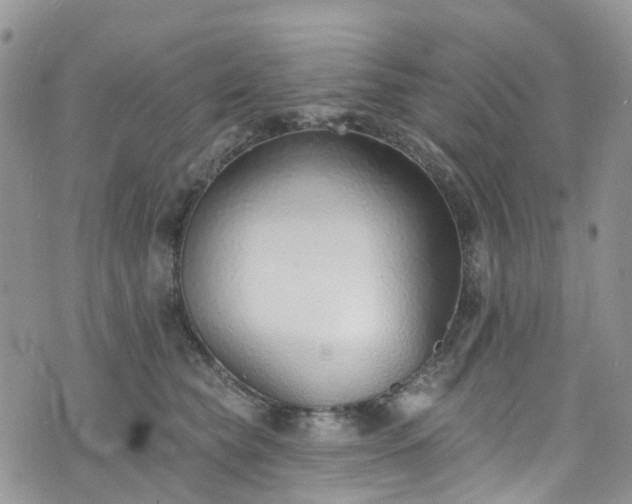 X0000076400565200610161208