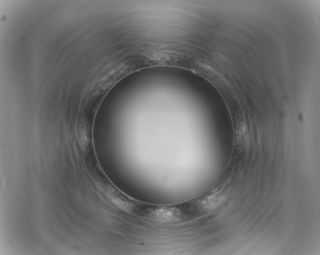 X0000076400566200610161208