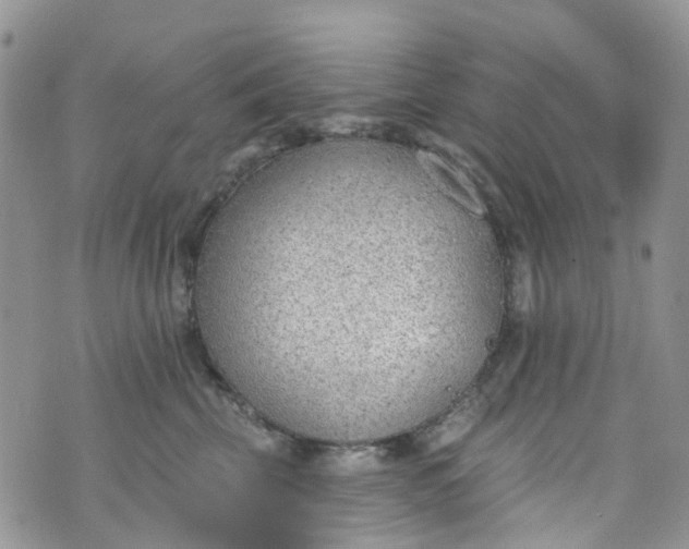 X0000076400569200610161208