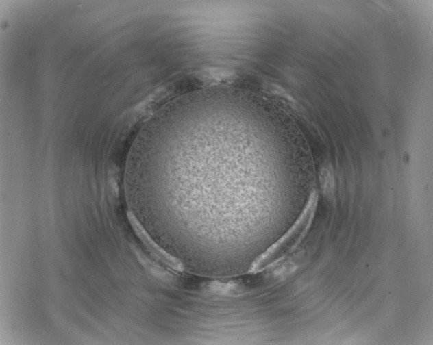 X0000076400570200610161208