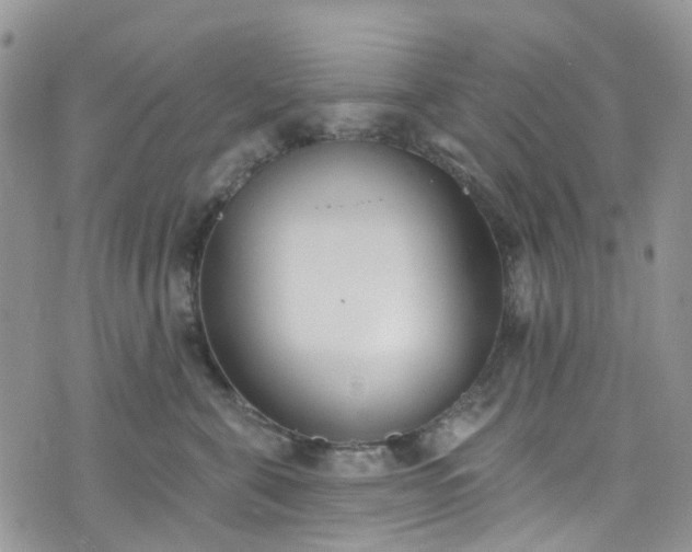 X0000076400571200610161208