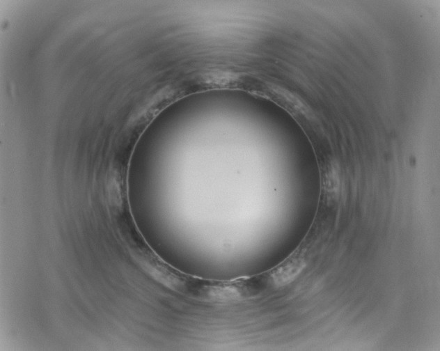 X0000076400572200610161208