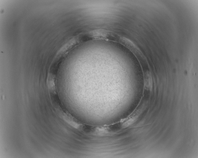 X0000076400573200610161208