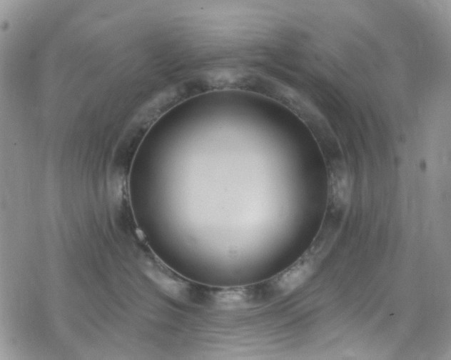 X0000076400574200610161208