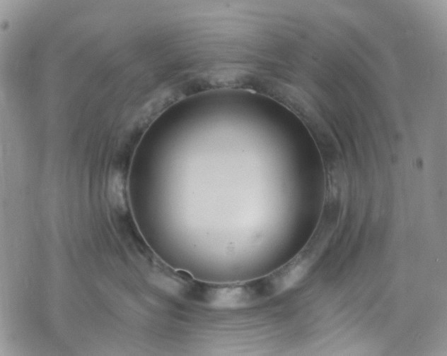 X0000076400575200610161208