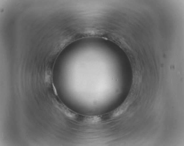 X0000076400576200610161208