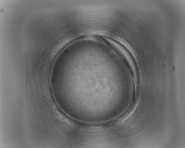 X0000076400577200610161207