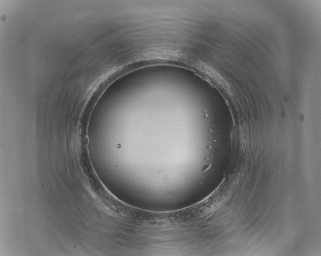 X0000076400580200610161207