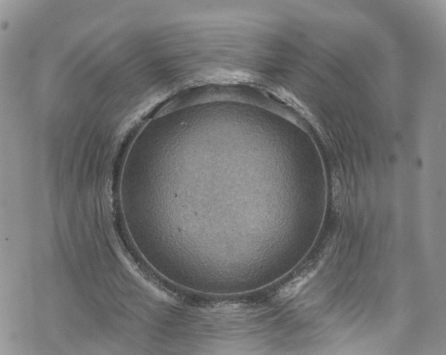 X0000076400581200610161207