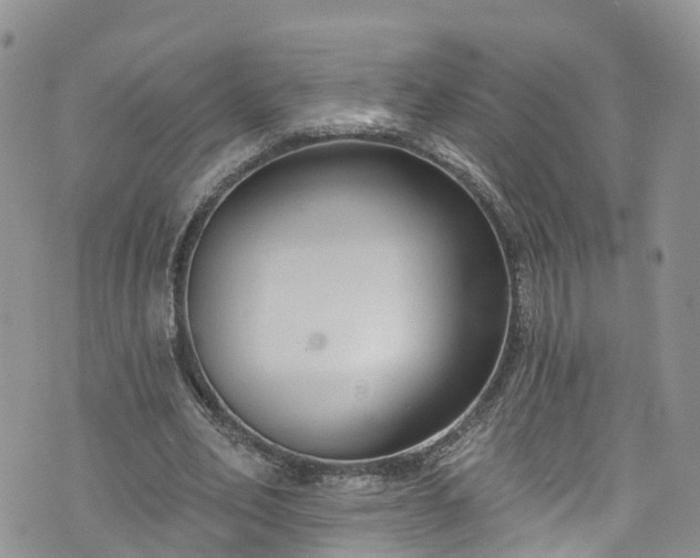 X0000076400582200610161207