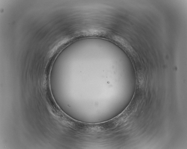 X0000076400583200610161207