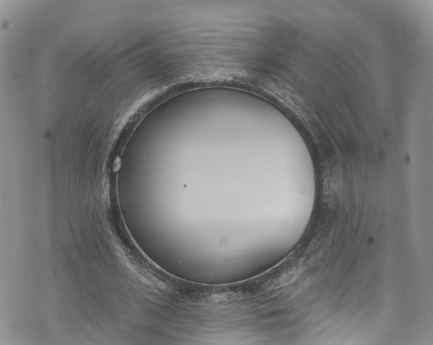 X0000076400584200610161207