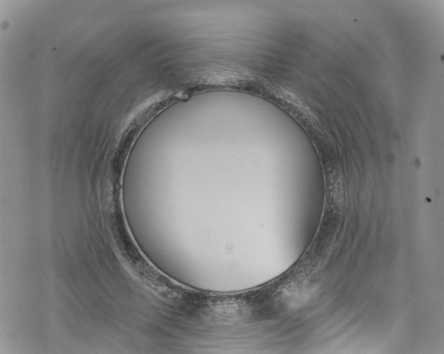 X0000076400587200610161207