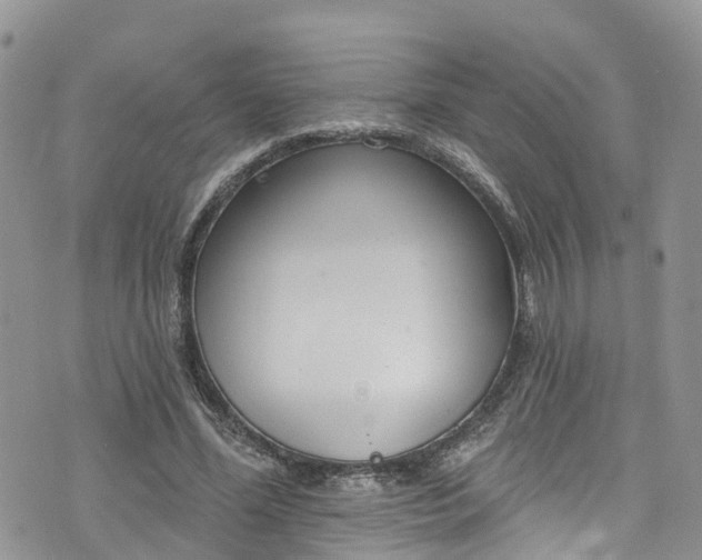 X0000076400588200610161207