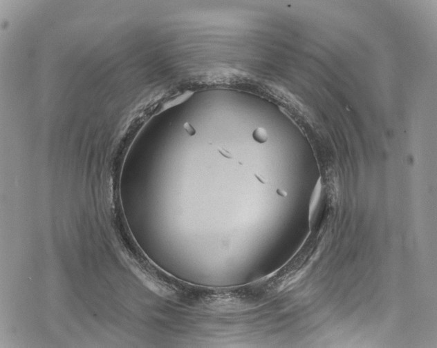 X0000076400589200610161207