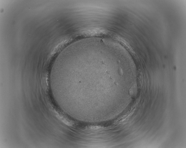 X0000076400590200610161207