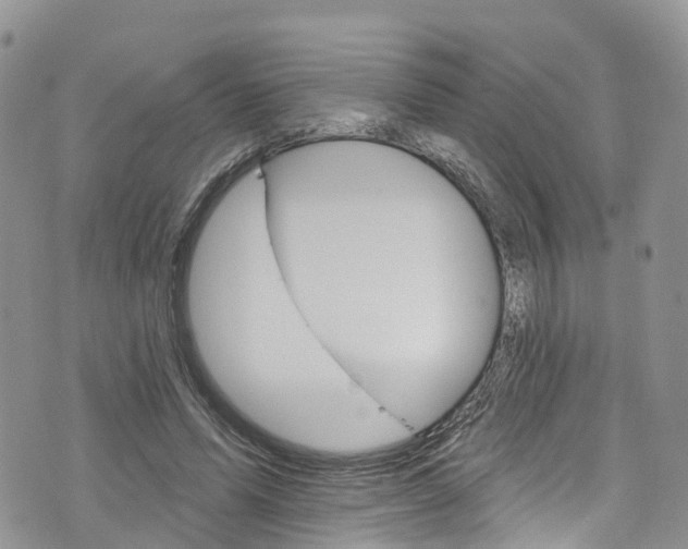 X0000076400591200610161207