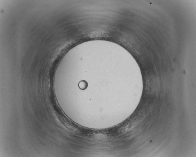 X0000076400592200610161207