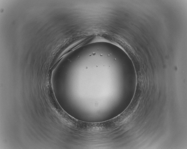 X0000076400593200610161207