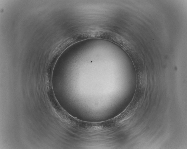 X0000076400594200610161207