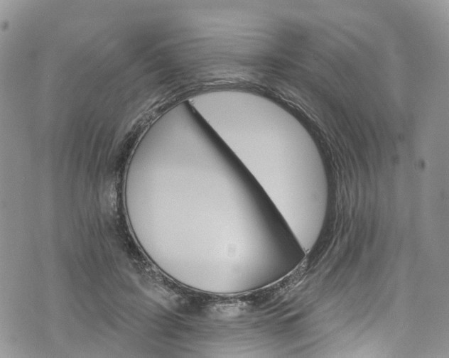 X0000076400595200610161207