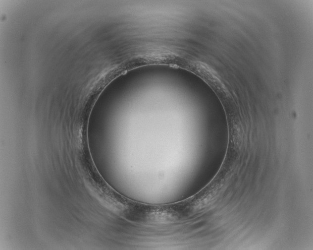 X0000076400596200610161207