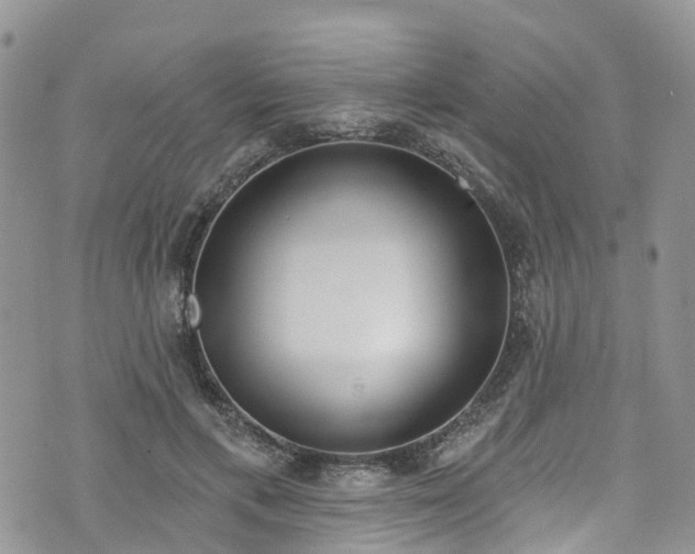 X0000076400597200610161207