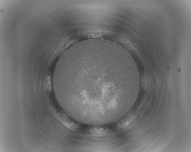 X0000076400598200610161207