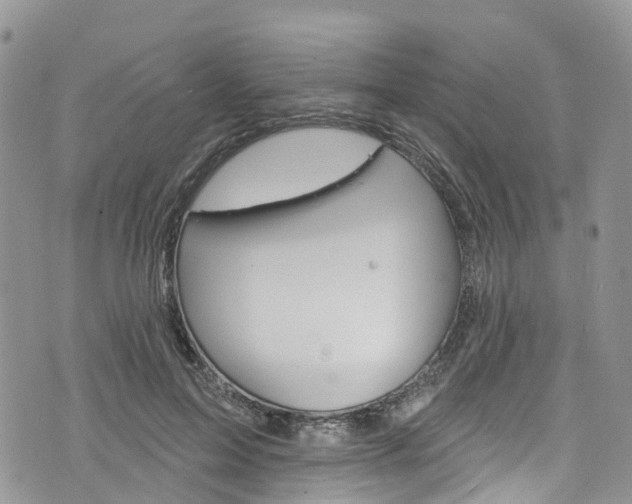 X0000076400599200610161207