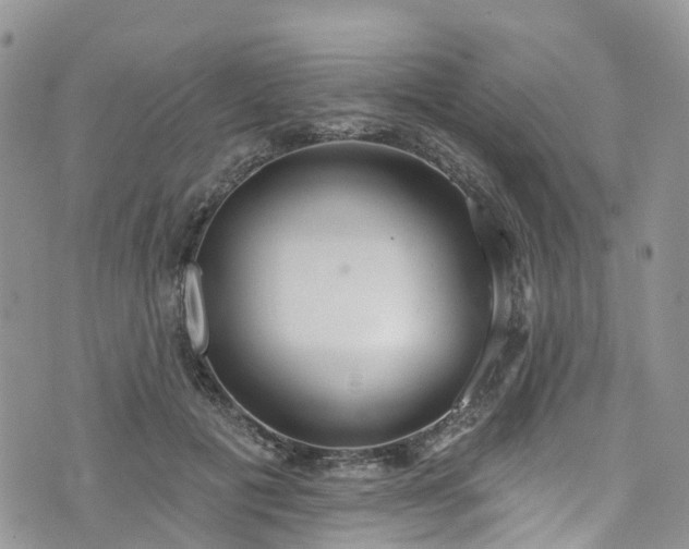 X0000076400601200610161207