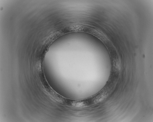 X0000076400602200610161207