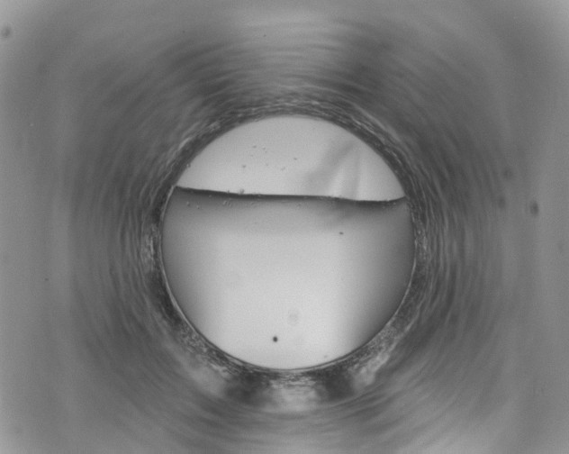 X0000076400603200610161207