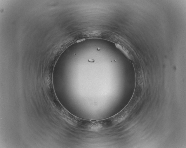 X0000076400604200610161207