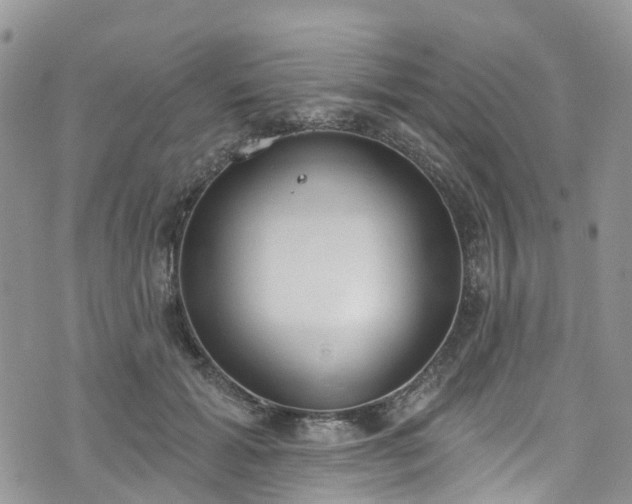 X0000076400605200610161207