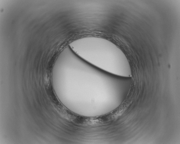 X0000076400607200610161207