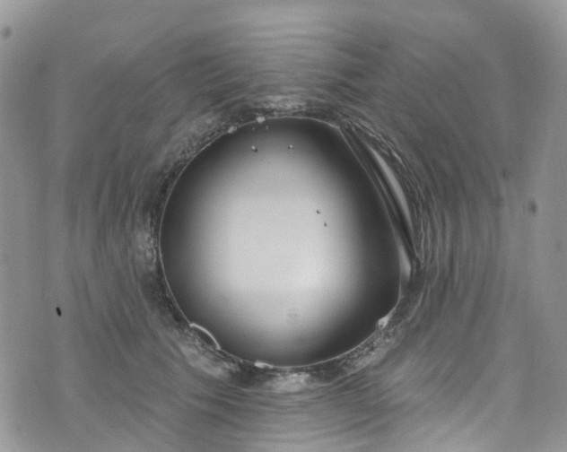 X0000076400609200610161207