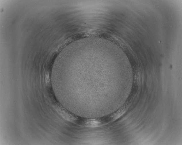 X0000076400610200610161207