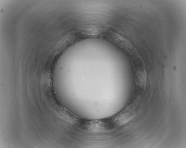 X0000076400612200610161207