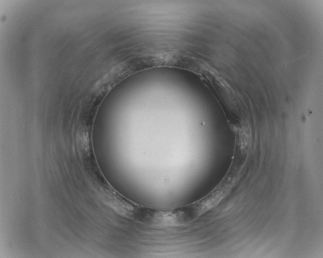 X0000076400613200610161207